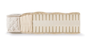 Dormiente Classic Mediform