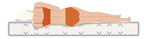 Dormiente Natural Classic Orthoform female