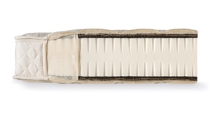 Dormiente Classic Isoform