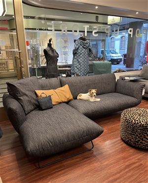 BULLFROG Sofa BOOGIE