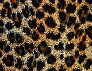 BULLFROG Hocker DOTS